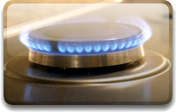 gasification of waste